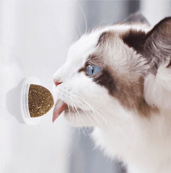 Imagem mostrando o produto Cat Snips - Passatempo para gatos do Coisa de Outro Mundo 