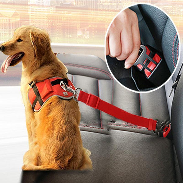 Imagem mostrando o produto Dog Collar - Cinto de Segurança para cães do Coisa de Outro Mundo 
