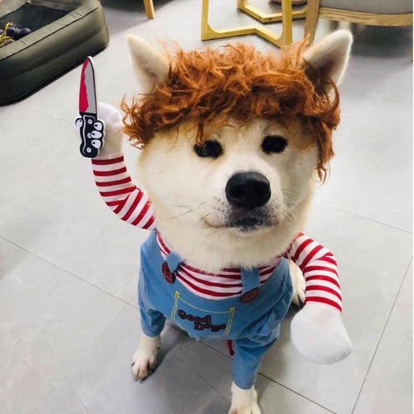 Imagem mostrando o produto Fantasia de Halloween para PETs do Coisa de Outro Mundo 